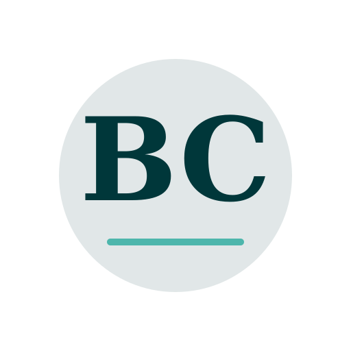 Bryce Chimney Services logo